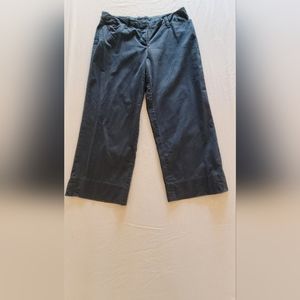 CAbi Capri, Dark Blue, Size 10